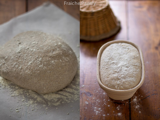 Bread Dough