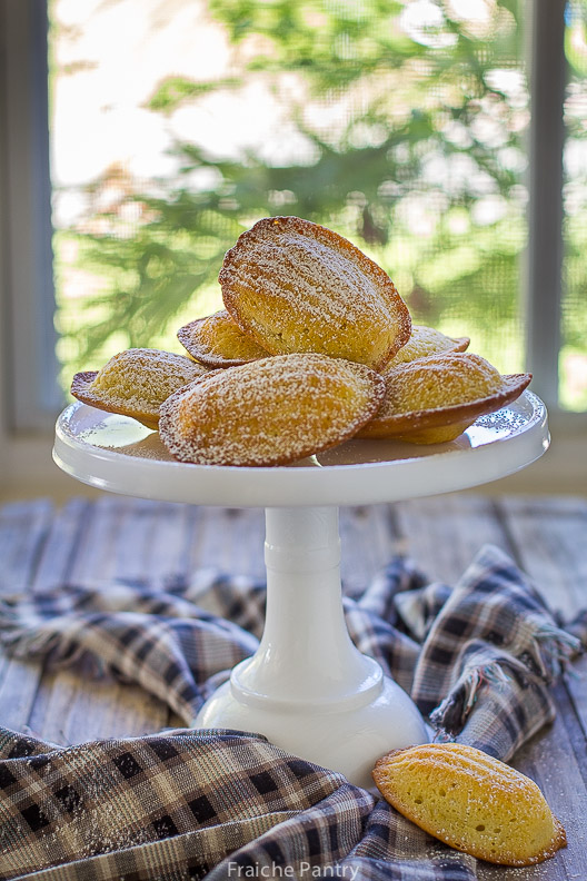 Lemon Scented Madeleines