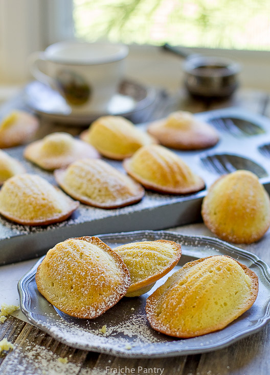 Madeleines