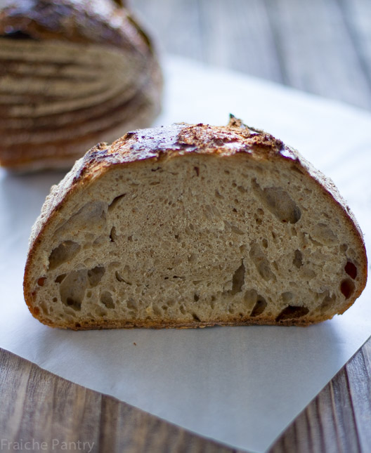 Whole Wheat Bread