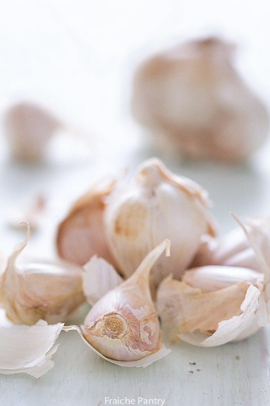 Garlic